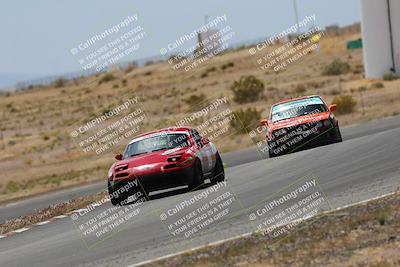 media/May-03-2025-Lucky Dog Racing (Sat) [[206de64b9d]]/Turn 6 (150pm-230pm)/